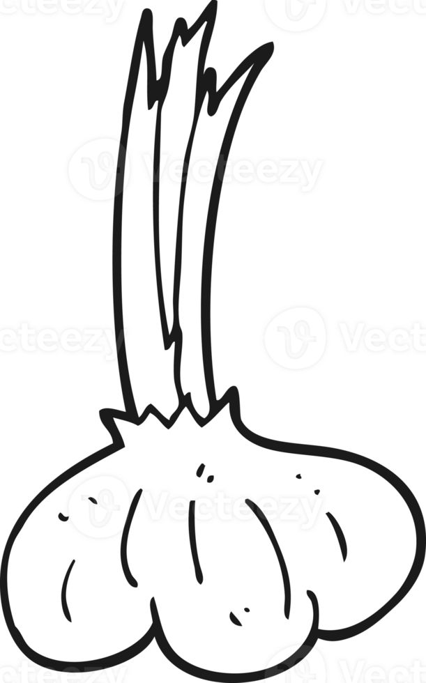 black and white cartoon garlic png