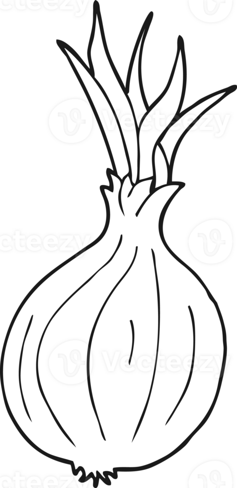 black and white cartoon onion png