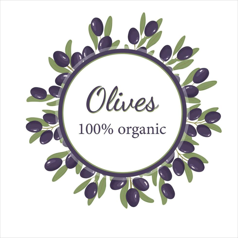 Template with black olives for banner or label design. Black olive tree branch. Black olives label or logo. Olive branch with leaves and olives. Vector illustration isolated on white background.