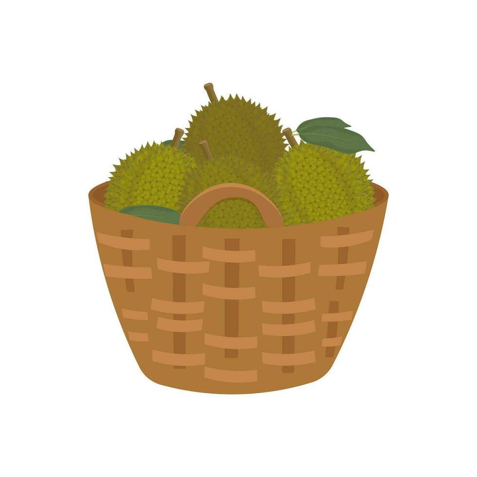 logo vector ilustración de Durian Fruta en un bambú cesta