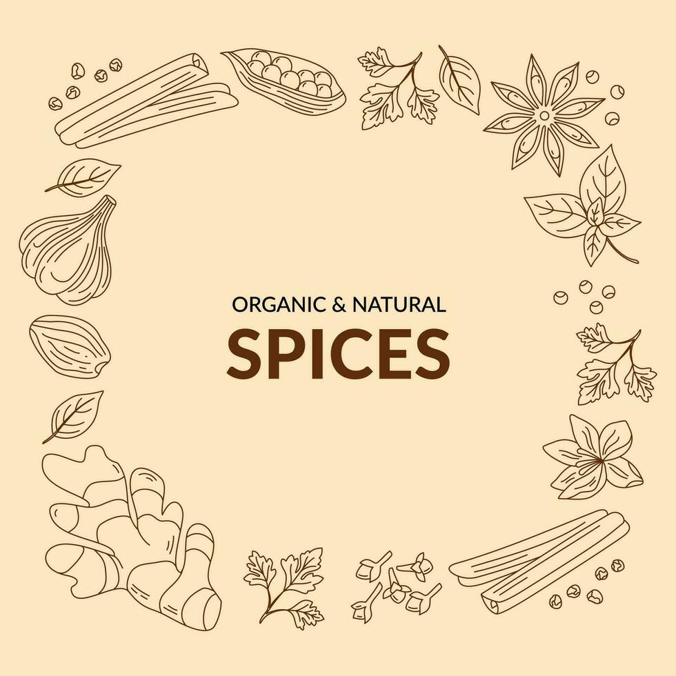 Illustration of different spices. Line art. Vector. vector