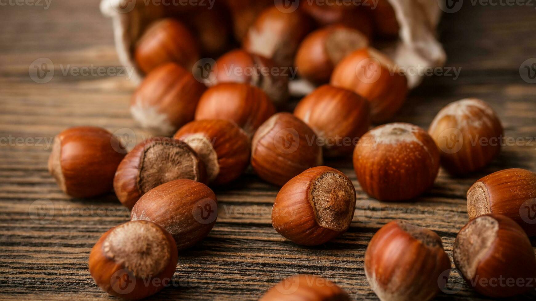 Organic Brown Hazelnuts. Delicious Healthy Nuts, Concept for Design. Gourmet Ingredients for Culinary Creations, Autumn Harvest Snack photo