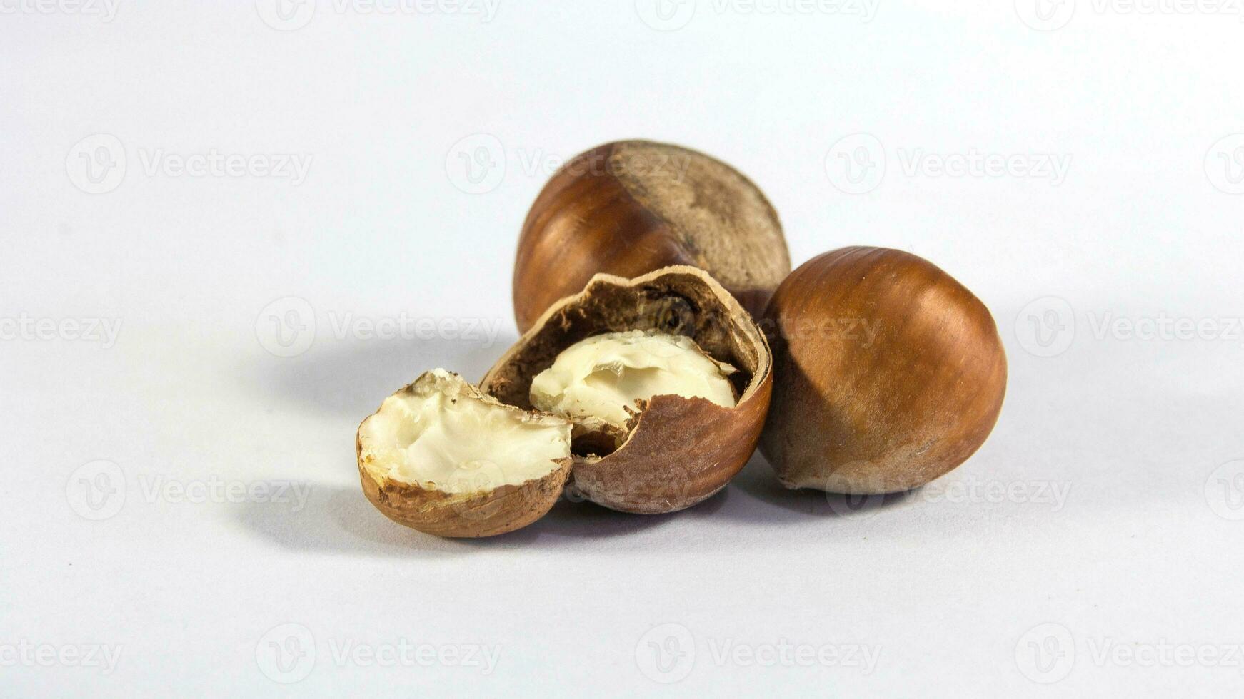 orgánico marrón avellanas. delicioso sano nueces, concepto para diseño. gastrónomo ingredientes para culinario creaciones, otoño cosecha bocadillo foto