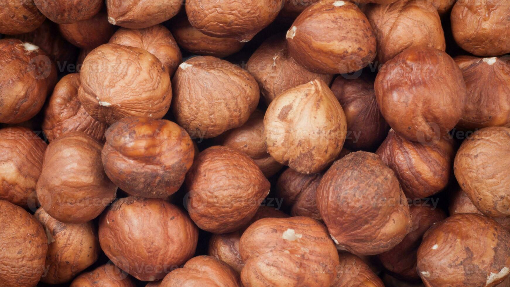 orgánico marrón avellanas. delicioso sano nueces, concepto para diseño. gastrónomo ingredientes para culinario creaciones, otoño cosecha bocadillo foto