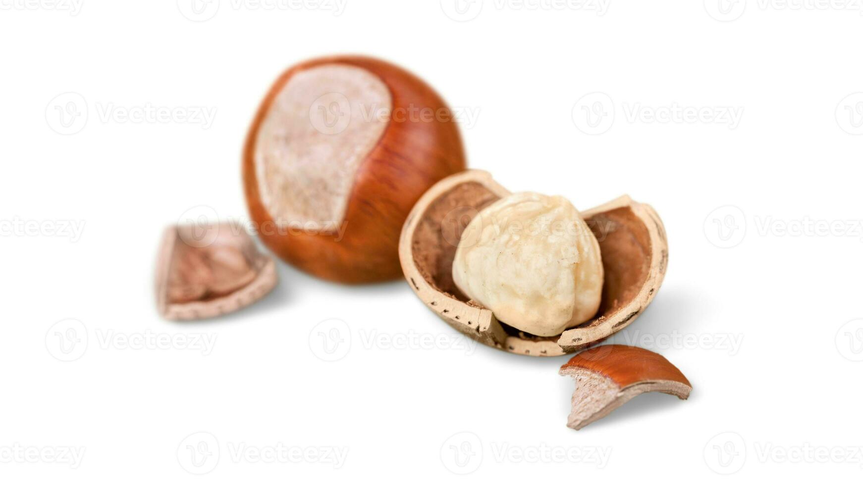 orgánico marrón avellanas. delicioso sano nueces, concepto para diseño. gastrónomo ingredientes para culinario creaciones, otoño cosecha bocadillo foto