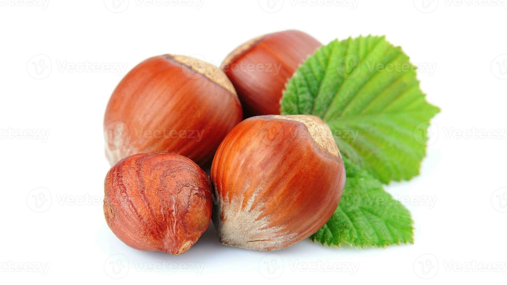 Organic Brown Hazelnuts. Delicious Healthy Nuts, Concept for Design. Gourmet Ingredients for Culinary Creations, Autumn Harvest Snack photo