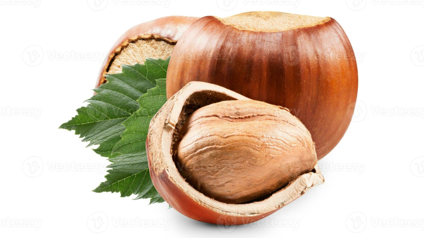 Organic Brown Hazelnuts. Delicious Healthy Nuts, Concept for Design. Gourmet Ingredients for Culinary Creations, Autumn Harvest Snack photo