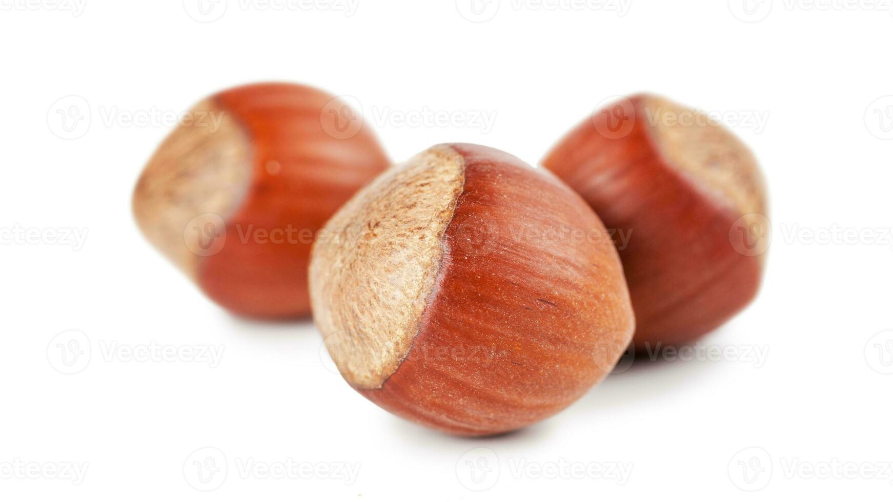 Organic Brown Hazelnuts. Delicious Healthy Nuts, Concept for Design. Gourmet Ingredients for Culinary Creations, Autumn Harvest Snack photo