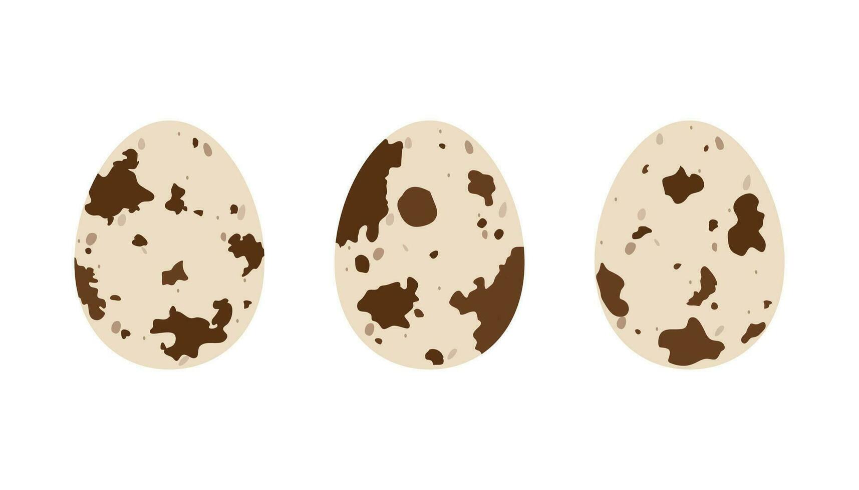 Flat quail eggs. Cartoon vector illustration isolated on white background