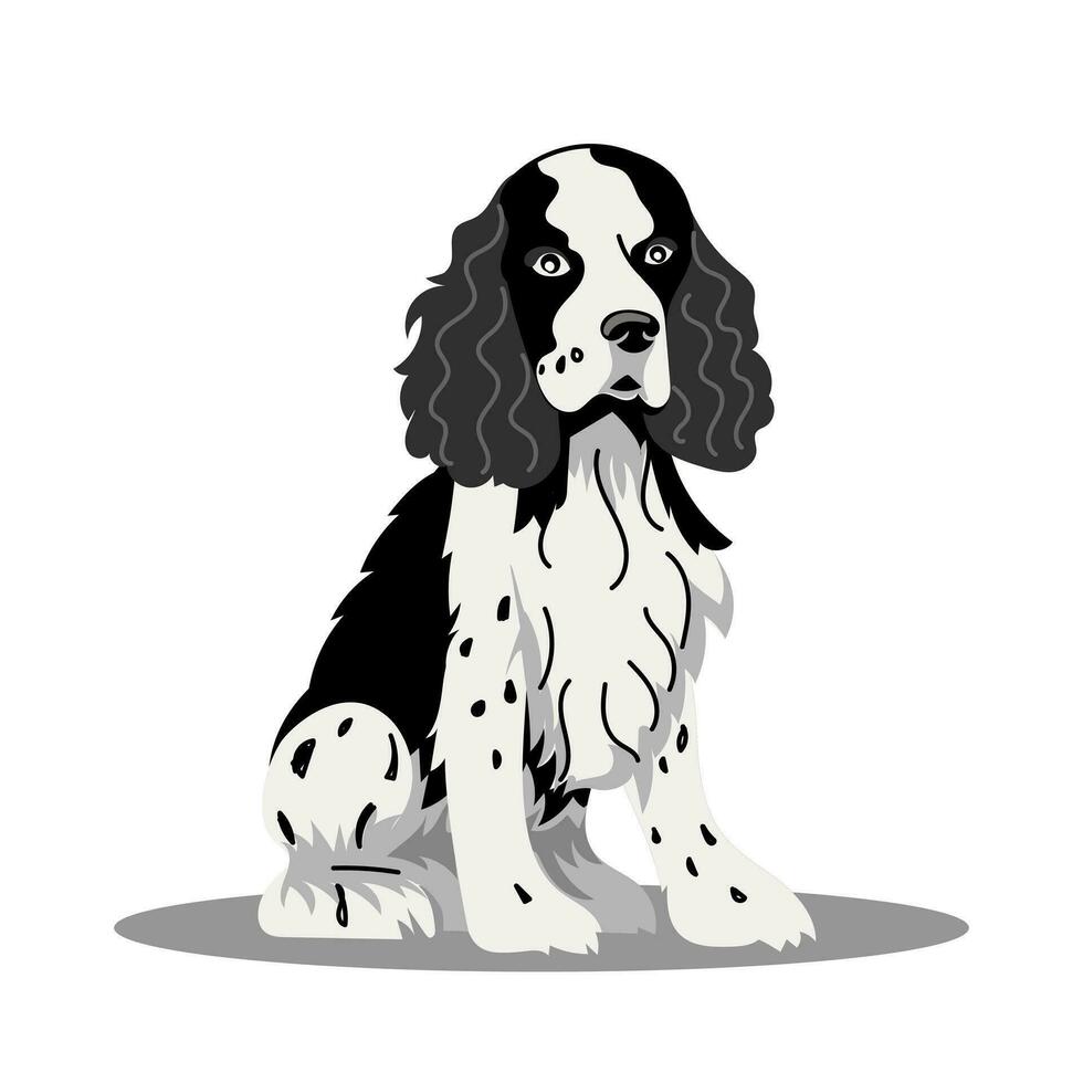 A spaniel dog. Vector illustration on a white background