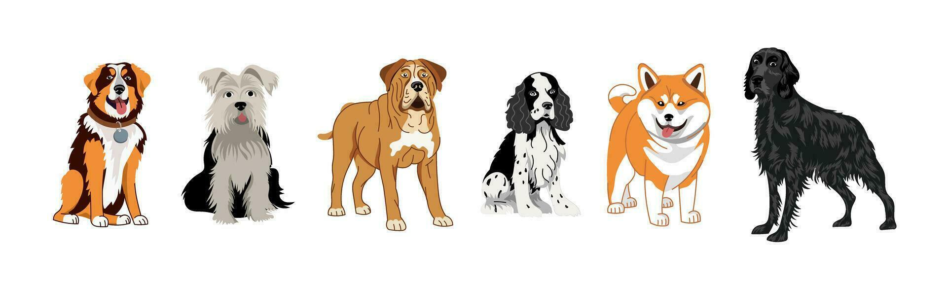 un conjunto de perros de diferente razas vector ilustración en un blanco antecedentes de un setter, spaniel, terrier, mastín, shiba inu, akita.