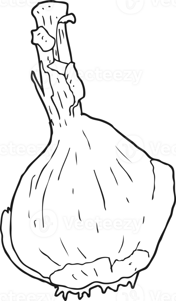 black and white cartoon garlic png