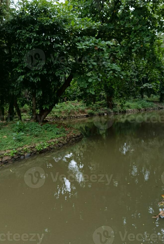 Nature landscape. a morning view of geo city park. photo