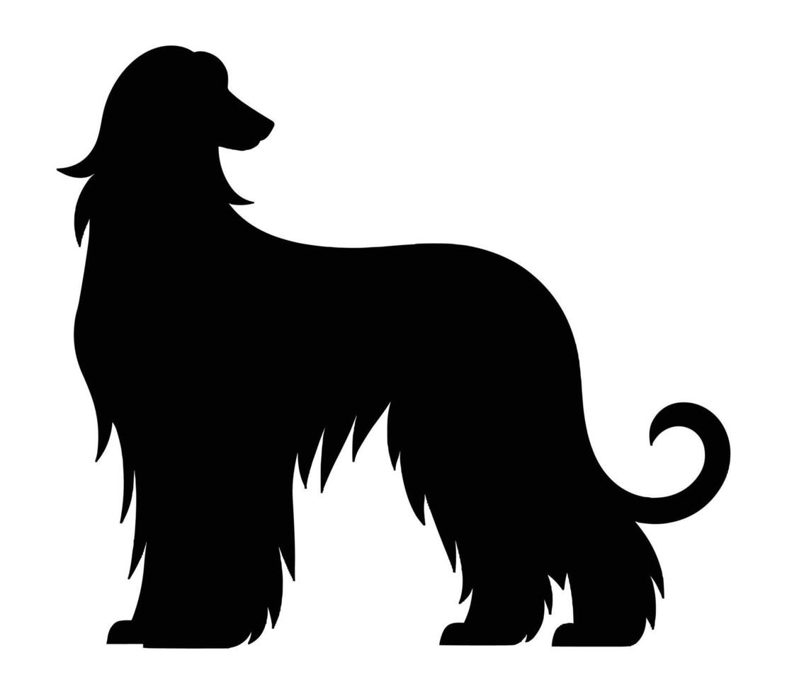 Vector graphic of afghan hound.