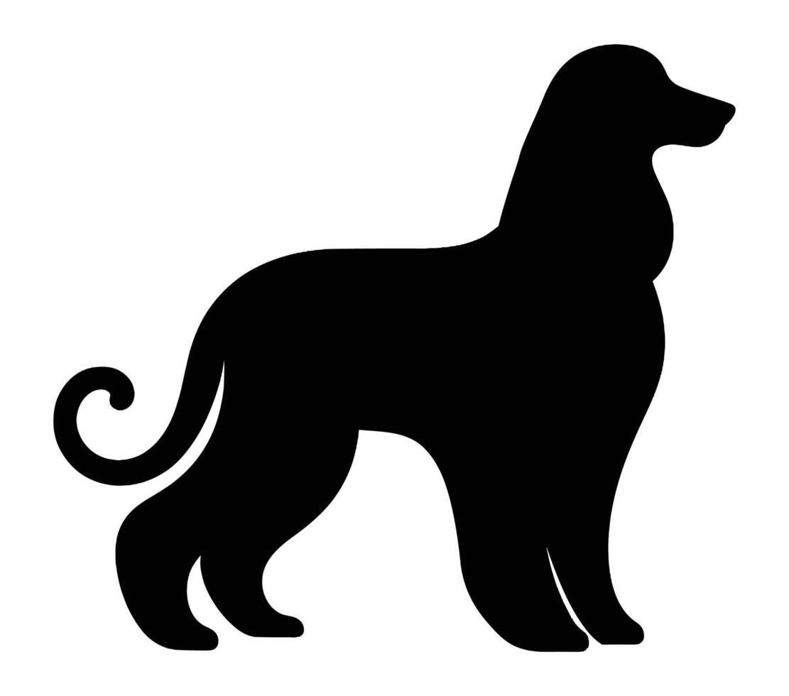 Afghan hound silhouette icon. Vector image.