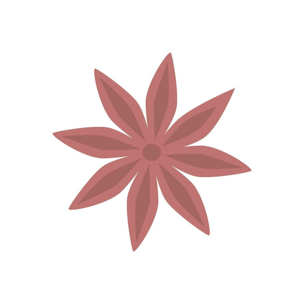 Anise star isolated on white in a hand-drawn style. vector