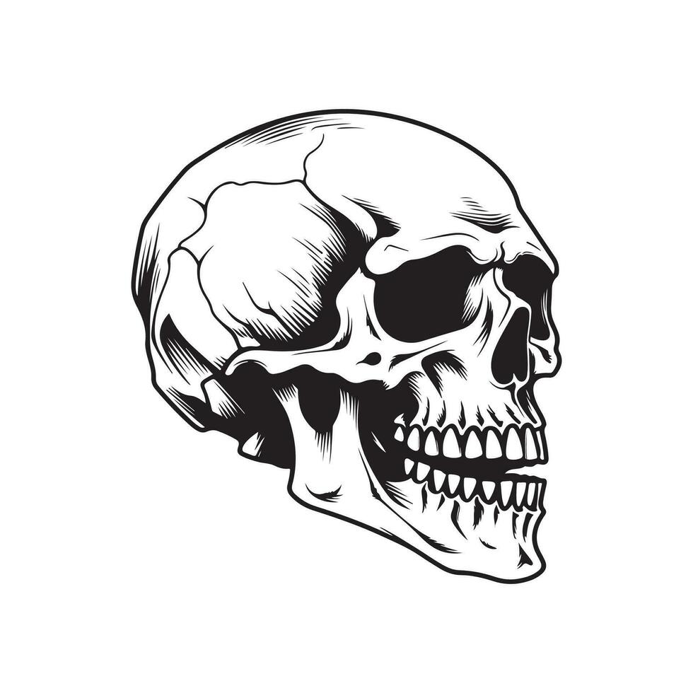 Skull Vector Images, Illustration, logo, Art, Design