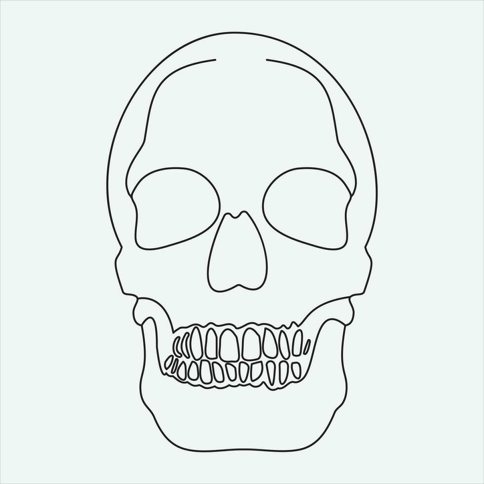 one line hand drawn skull outline vector illustration