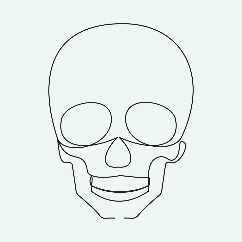 one line hand drawn skull outline vector illustration