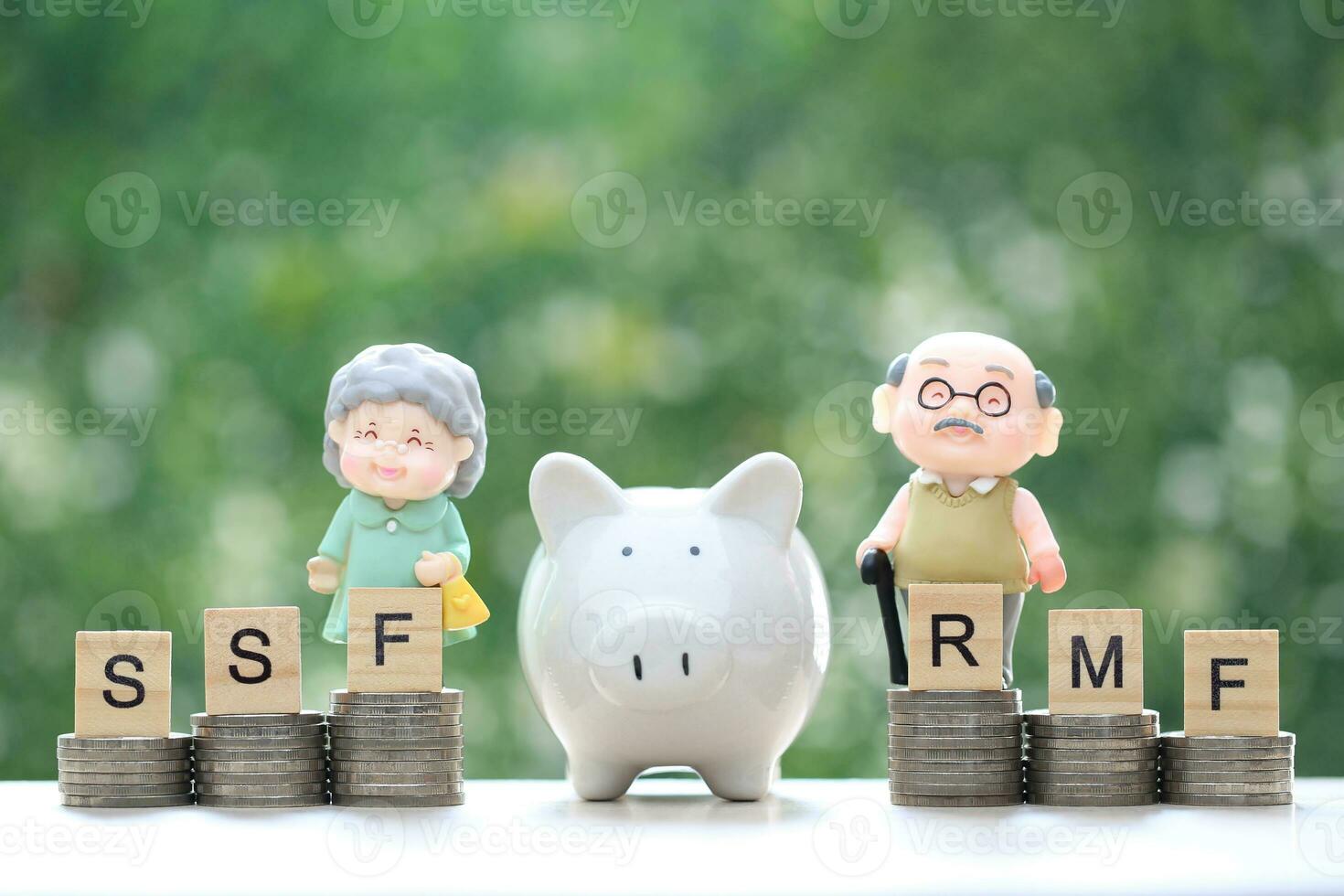 Love couple senior on stack of coins money on natural green background photo