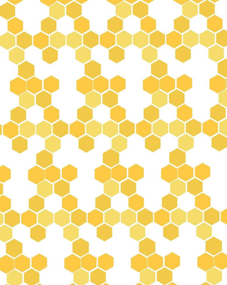 Honeycomb and Honeybee vector illustration
