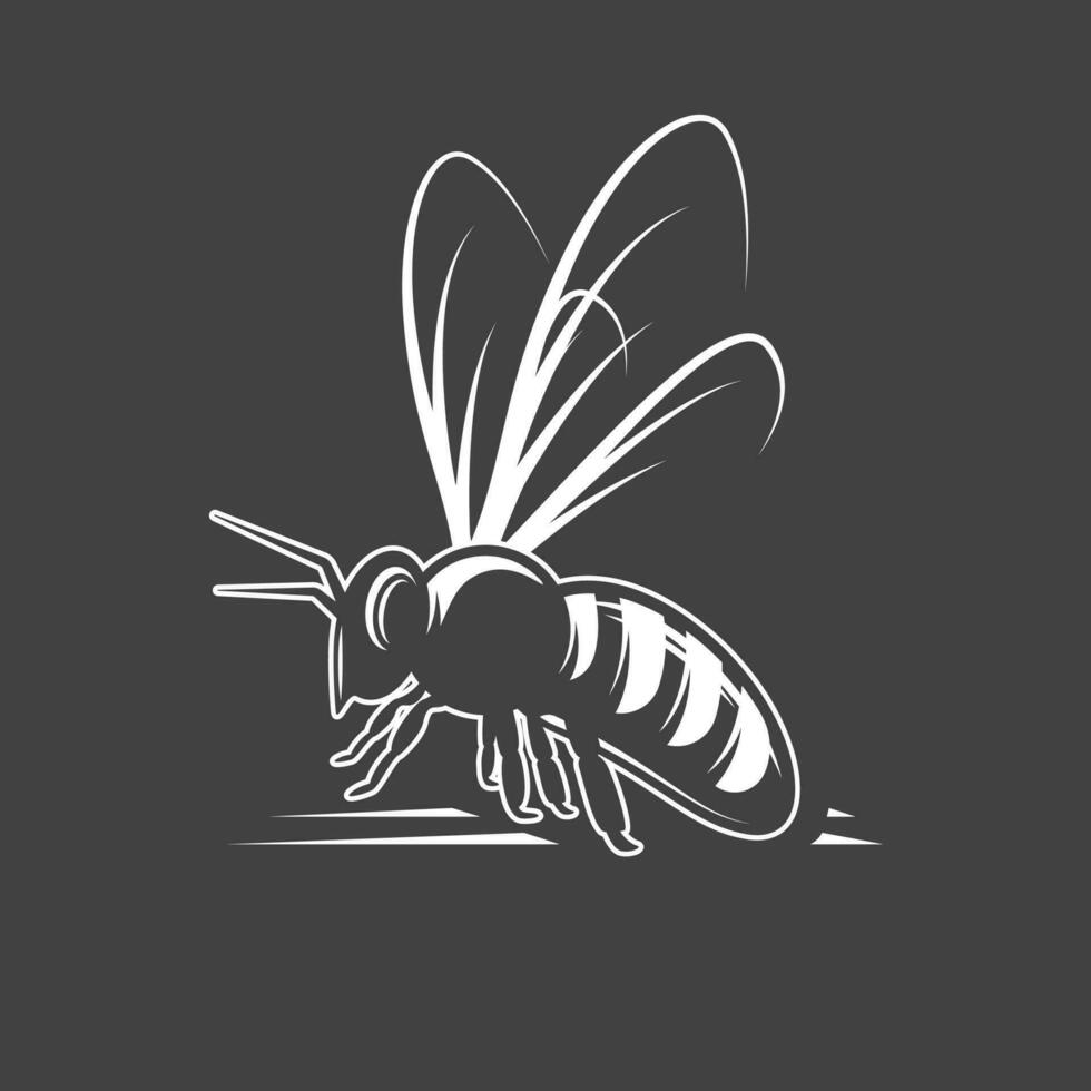 Bee isolated on black background vector