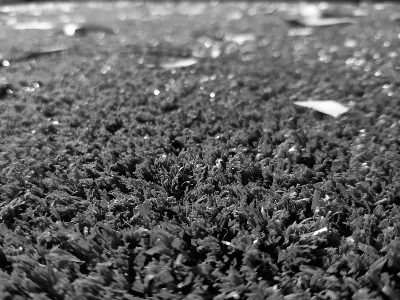 Black and white grass background close view, grayscale grass photo