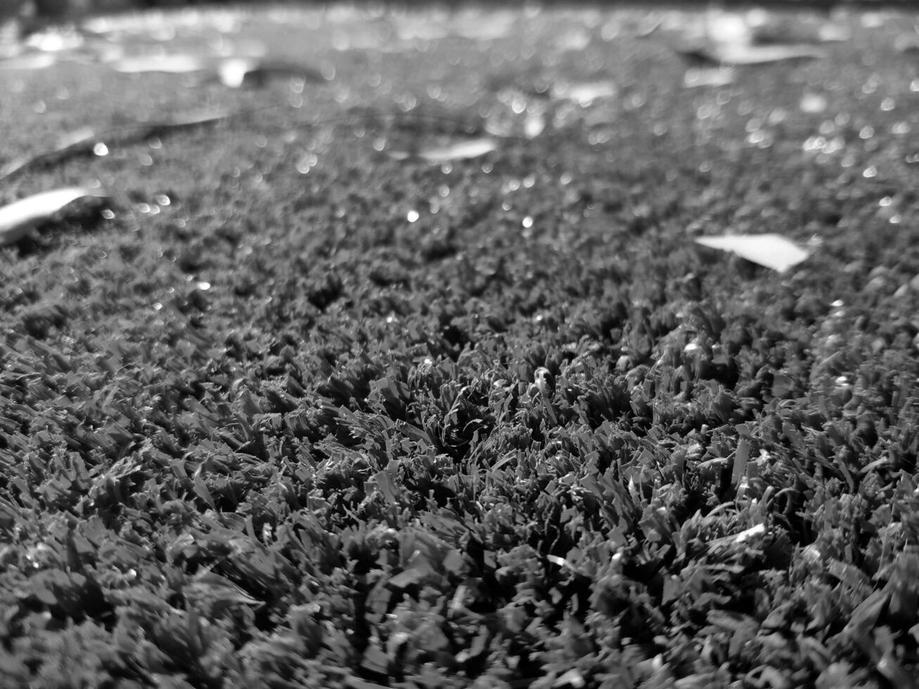 Black and white grass background close view, grayscale grass photo