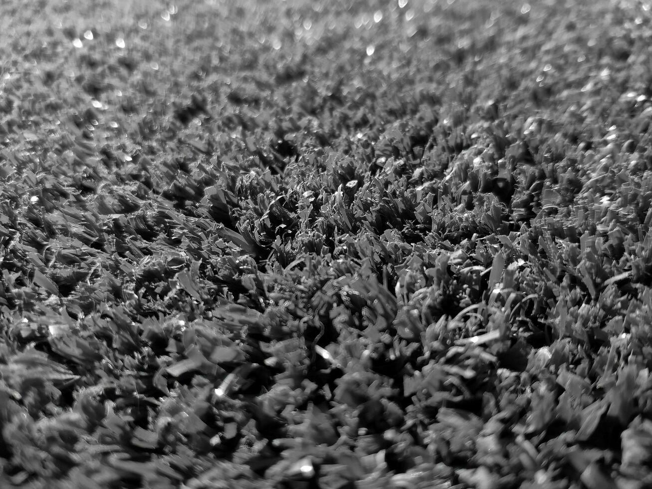 Black and white grass background close view, grayscale grass photo