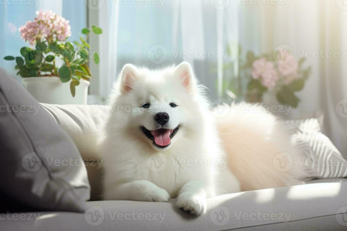 AI generated Photo of healthy dog peacefully rest on sofa. Generative AI