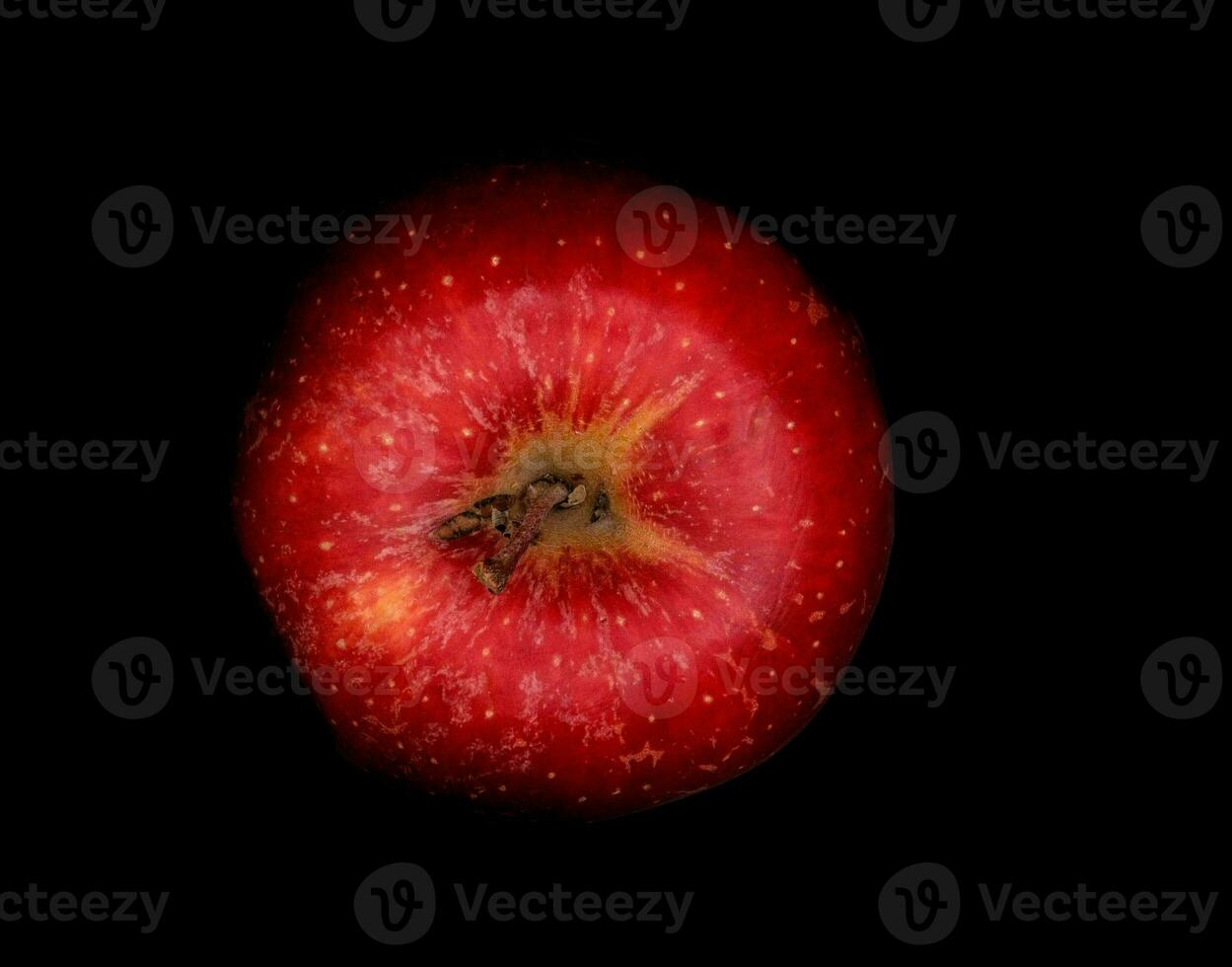 bright, vividly colored red apple on a black background during a studio photo session in the winter of 2023