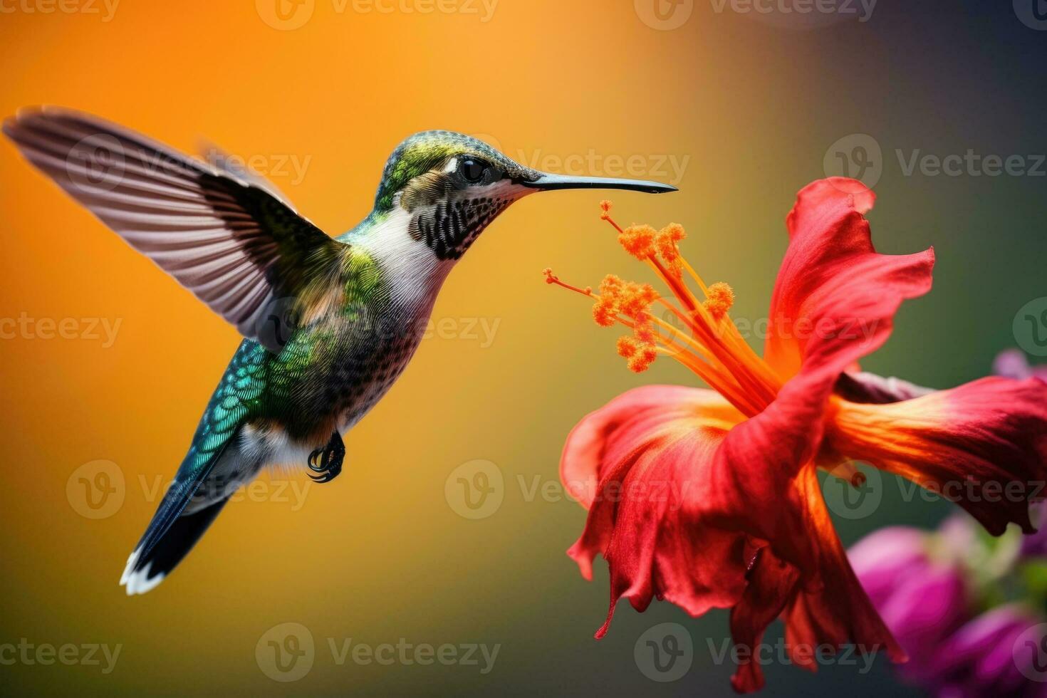 AI generated International Bird Day, a beautiful hummingbird drinks nectar from a flower, a bird in flight, tropical birds and plants photo