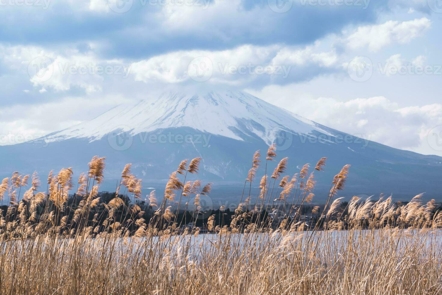 Mount Fuji,Grass field with large clouds covering the top of the mountain.Landscape View With Water At Kawaguchiko Lake, Japan photo