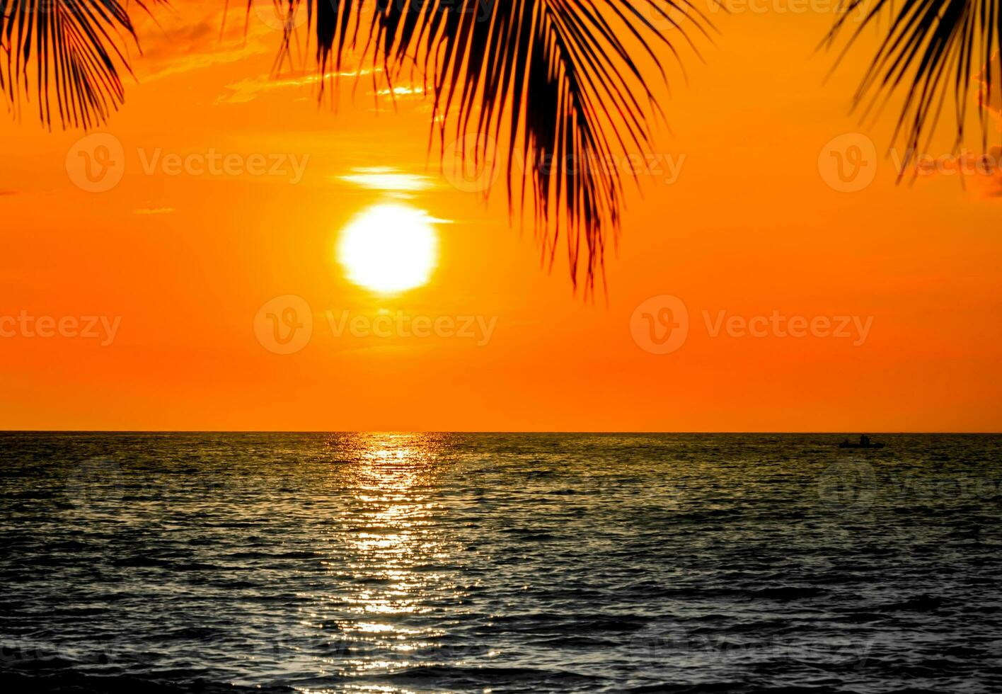 Palm tree on the beach during sunset of beautiful a tropical beach photo