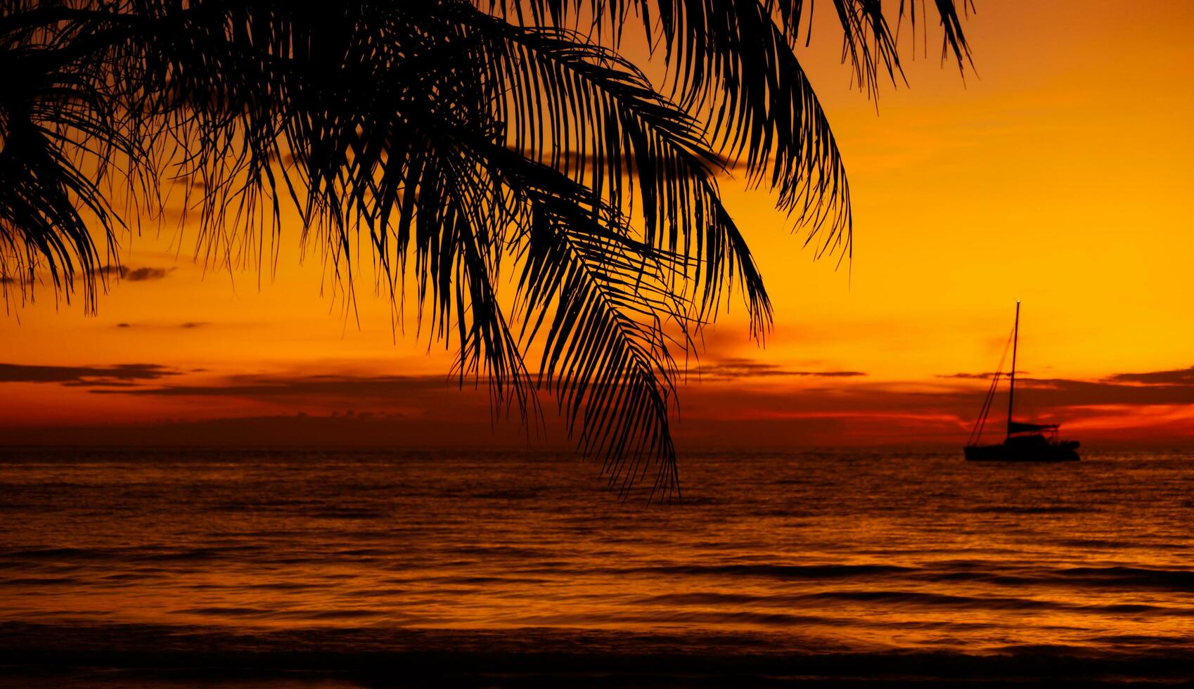 Silhouettes of palm trees and amazing cloudy sky on sunset at tropical beach with sky background for travel and vacation photo