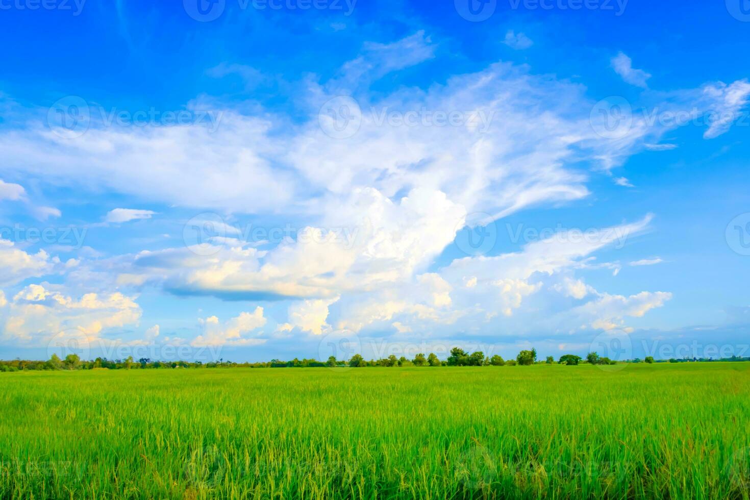 The sky and clouds of the green fields photo