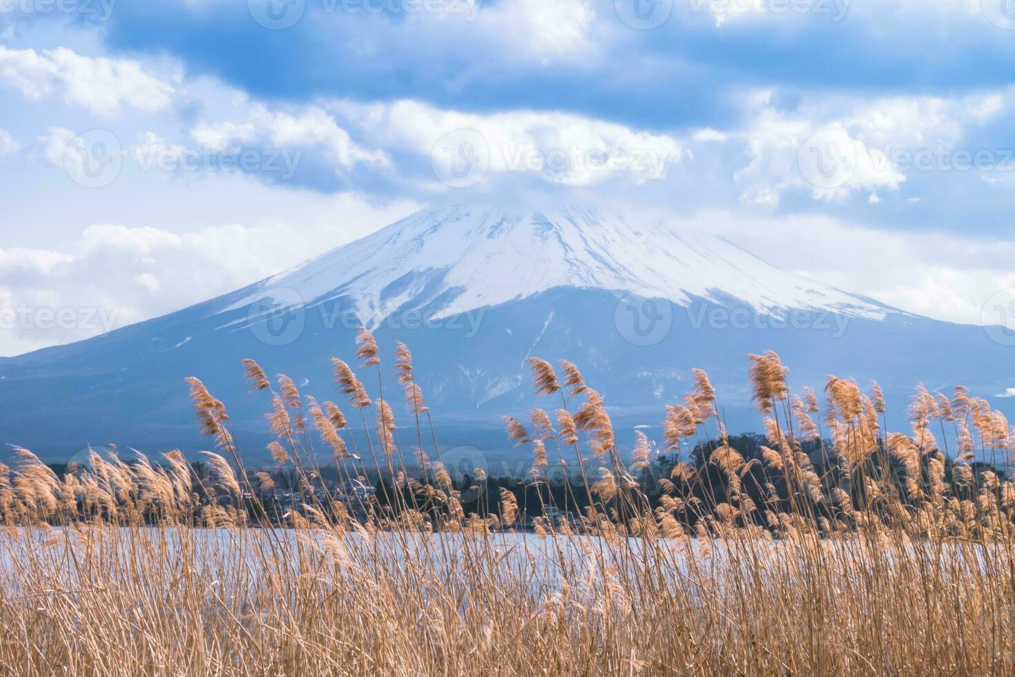 Mount Fuji,Grass field with large clouds covering the top of the mountain.Landscape View With Water At Kawaguchiko Lake, Japan photo