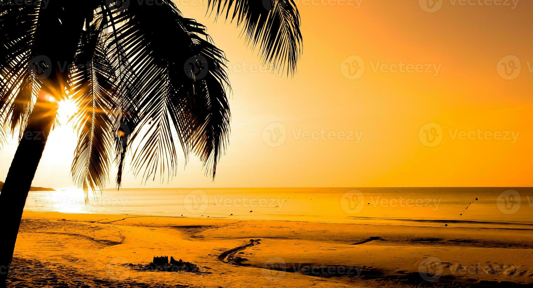 Beautiful sunrise tropical beach with palm tree and sky for travel and vacation in holiday photo