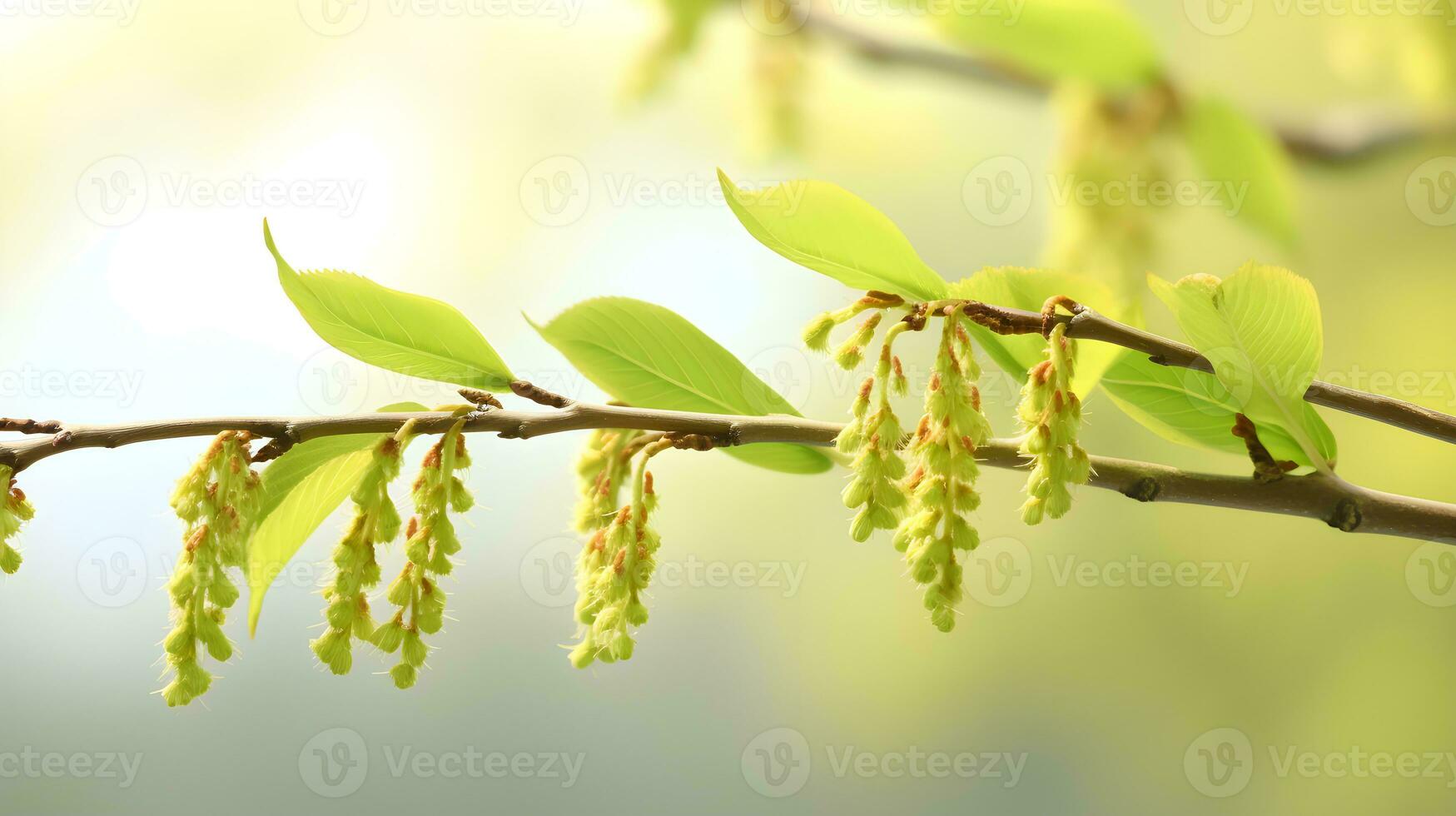 AI generated Spring tree buds. Spring wallpaper. photo