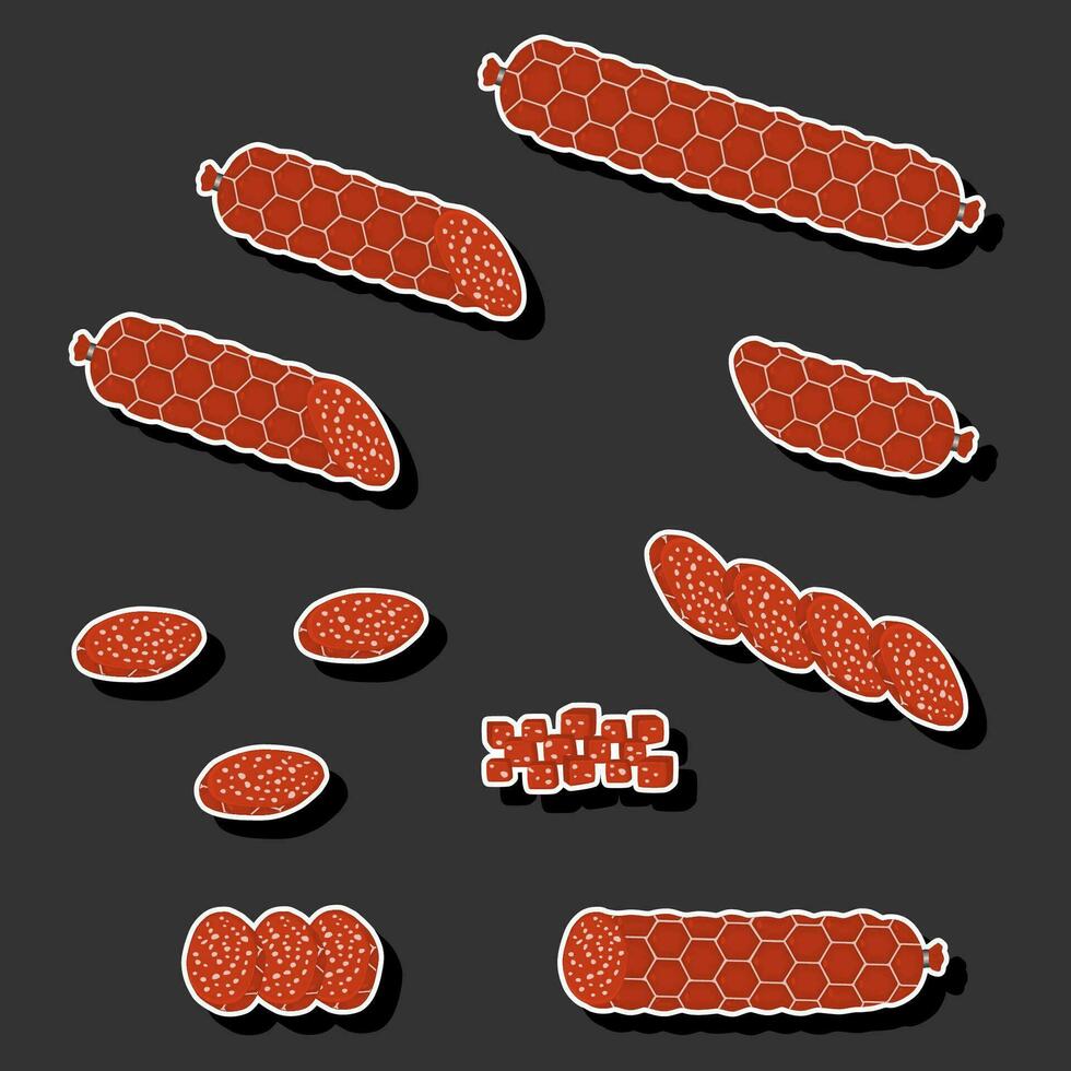 Illustration on theme big set different types delicatessen meat sausages vector