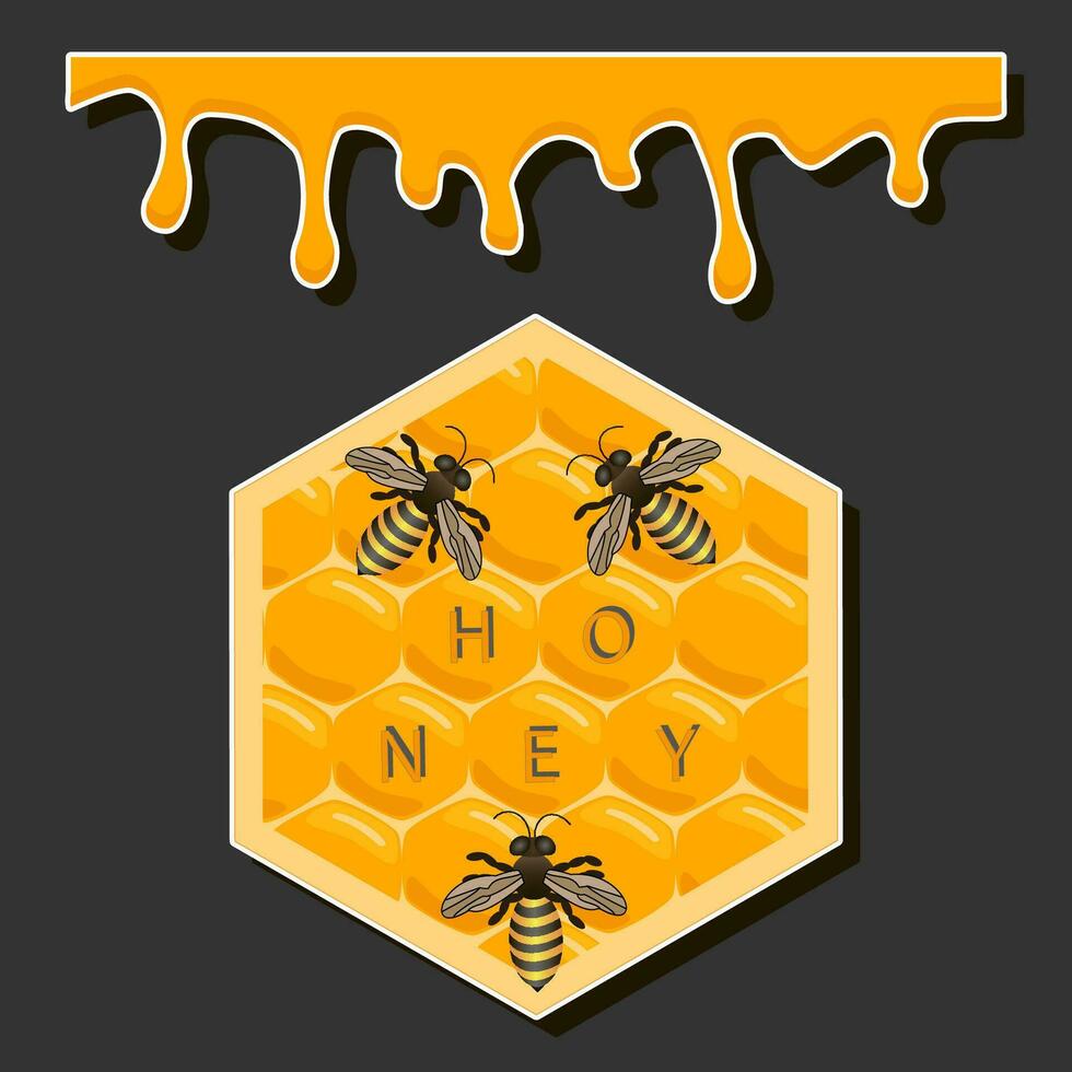 Drop of bee honey drip from hexagonal honeycombs filled with golden nectar vector