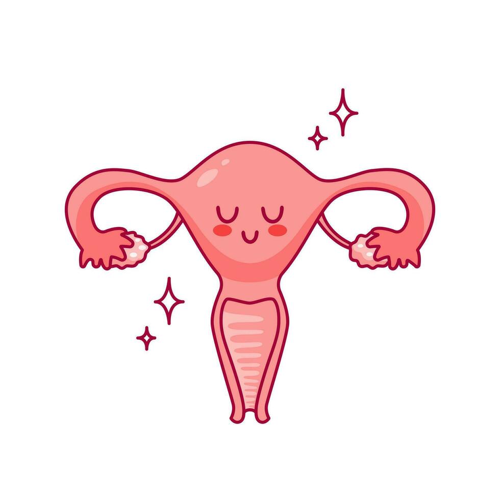 útero. linda dibujos animados personaje en kawaii estilo. sano Organo, menstruación. mujer salud. hembra reproductivo sistema, ciclo. anatomía, cuello uterino, ovarios, falopio tubos vector ilustración, plano estilo