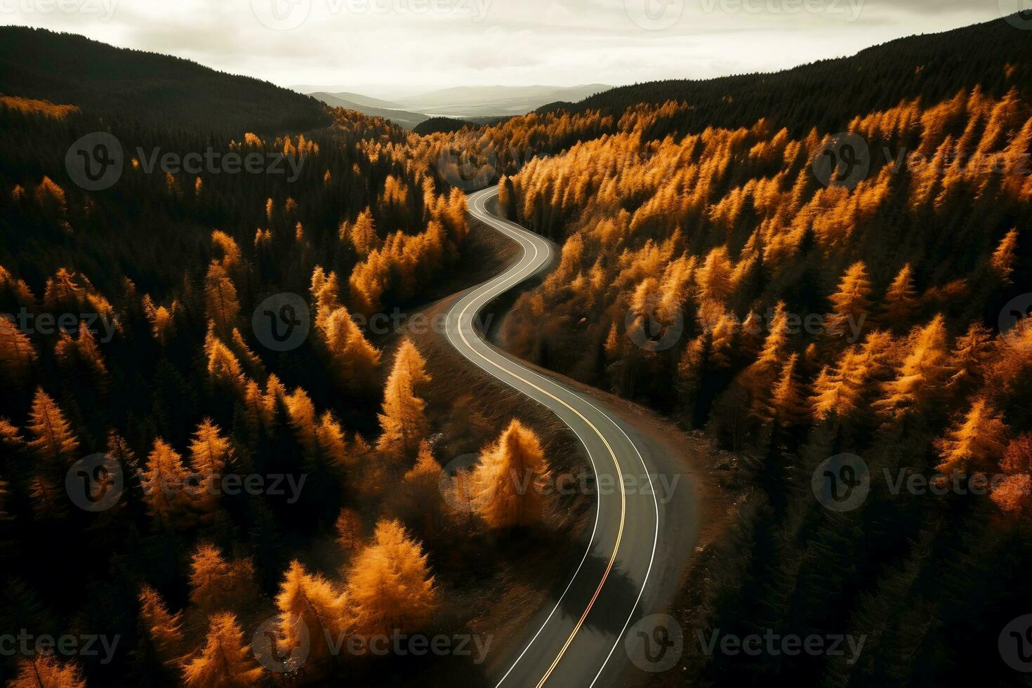 AI generated Wavy road in the autumn forest, aerial view. photo