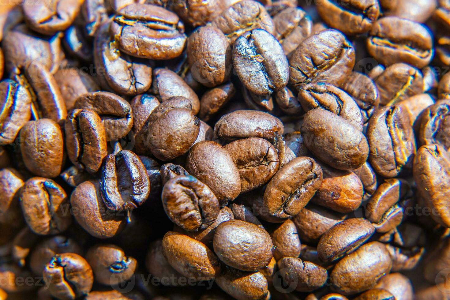 Capture the essence of diverse backgrounds and lifestyles with eco-friendly coffee. Choose Arabica, the roasted coffee bean of choice photo