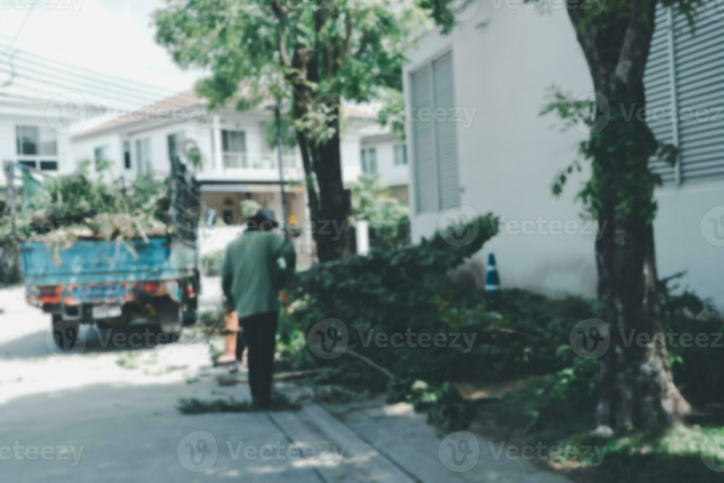 Blur background worker uses a collection truck to pick up of debris from a tree that was cut down. photo