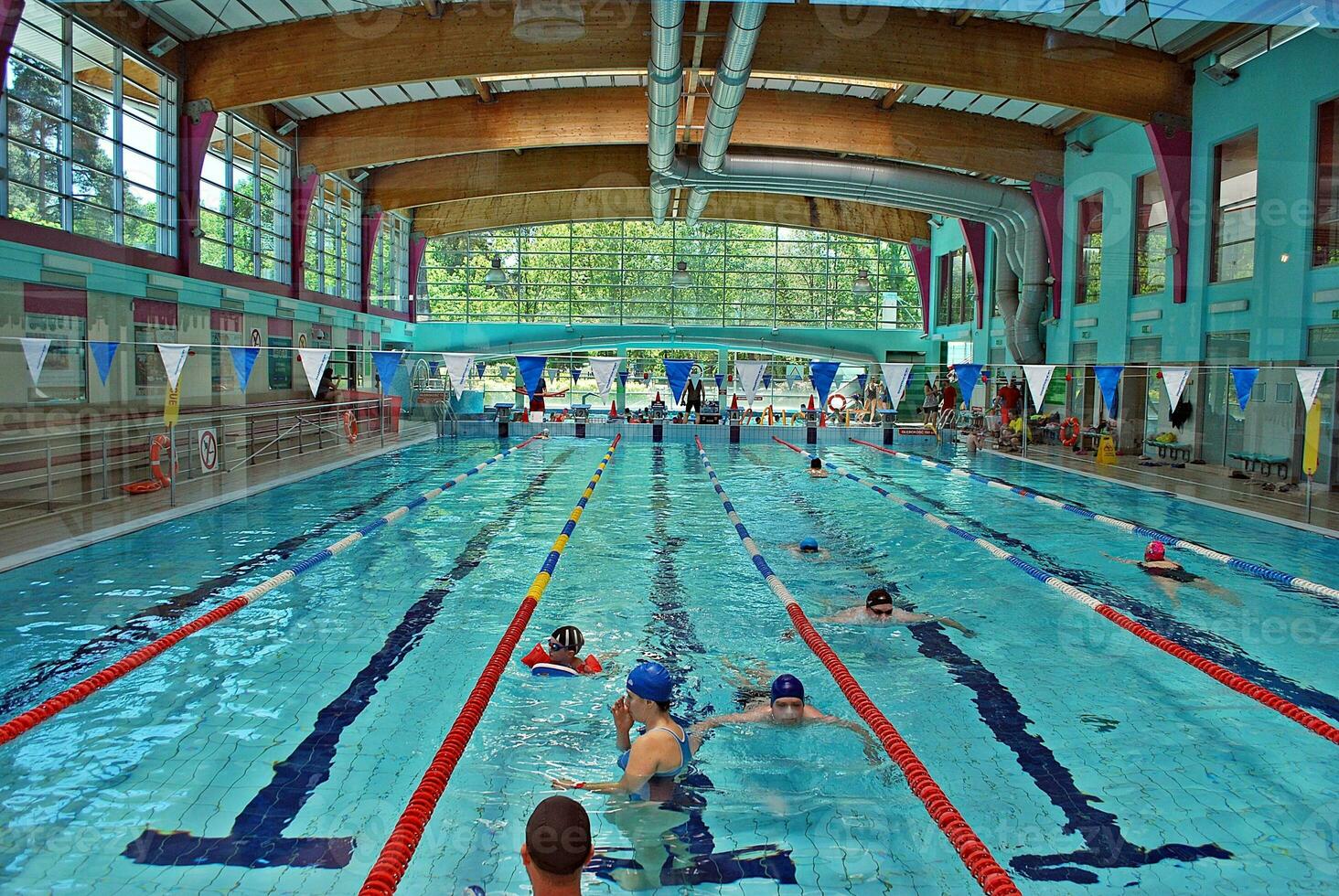 Swimming in the swimming pool photo