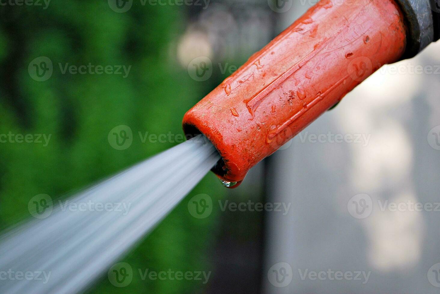 Water spraying from a garden hose photo