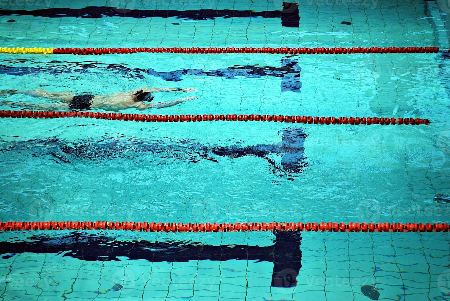 Swimming in the swimming pool photo