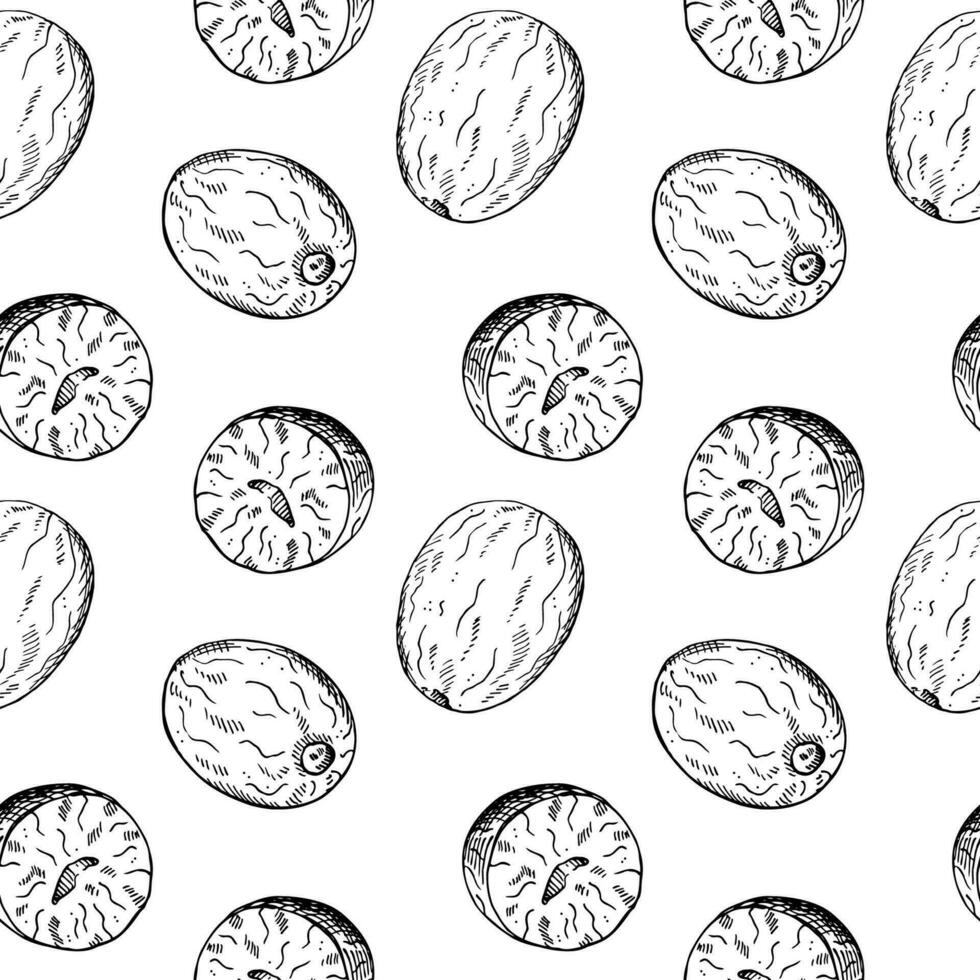 Nutmeg seamless pattern hand drawn vector illustration repeating background with spicy nuts. Backdrop with Mace plant sketch for cooking, medicine, perfumery. For flyer, wrapping, print, paper, card