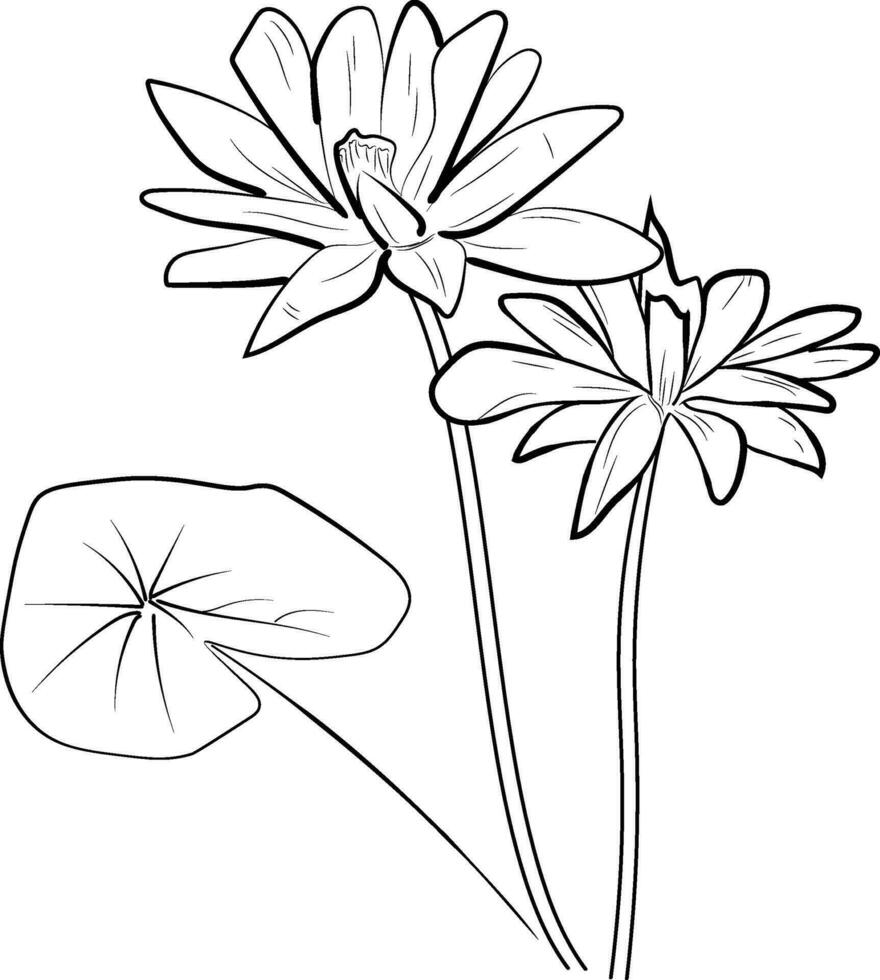 Minimalist geometric water lily tattoo, water lily line art, easy water lily drawing for kids, water lily drawing for kids, waterlily crayon drawing vector